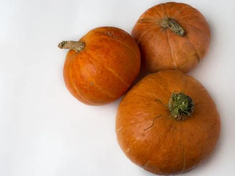 Three pumpkins from the harvest. Photos