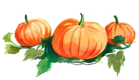 Three pumpkins Stock-Illustration