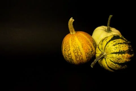 Three pumpkins isolated on a black background. It's Halloween time. Stock Photos
