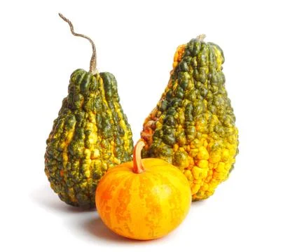 Three pumpkins on isolated white background Stock Photos