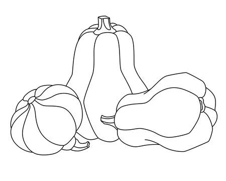 Three Pumpkins - linear vector drawing for coloring. Outline Stock Illustration
