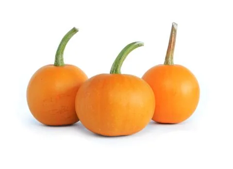 Three pumpkins Stock Photos