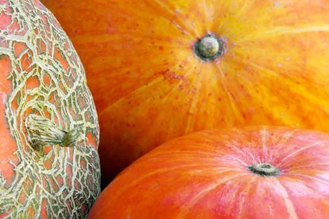 Three pumpkins Stock Photos