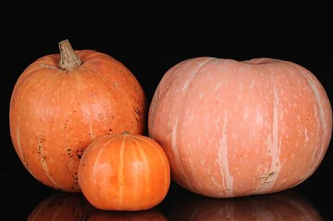Three pumpkins Stock Photos
