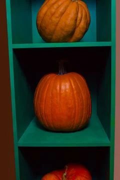 Three pumpkins Stock Photos