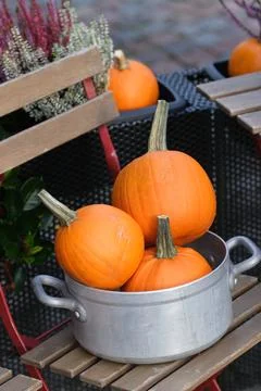 Three pumpkins Stock Photos