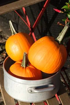 Three pumpkins Stock Photos