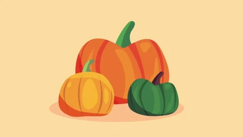 Three pumpkins on a plain background, motion graphics with a simple illustr.. Stock Footage 338316302