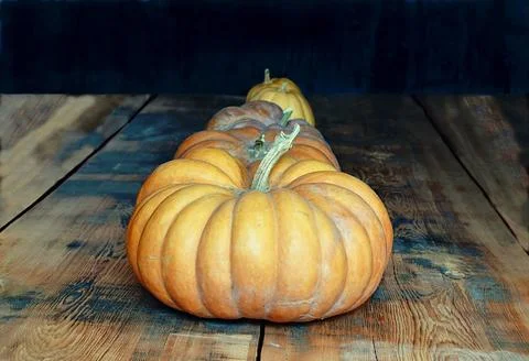 Three pumpkins ranging in size small, medium and large. 스톡 사진