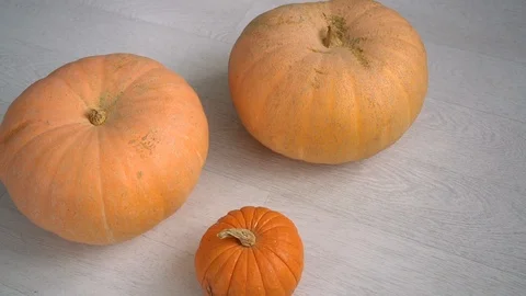 Three pumpkins on a white floor Video stock 119071695