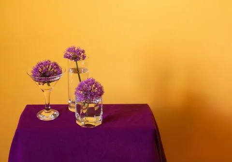 Three purple violet spring gian onion flowers in transparent glass on warm ye Stock Photos