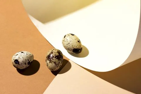 Three quail Easter eggs lying on two beige pastel shades with a hard shadow. Stock Photos