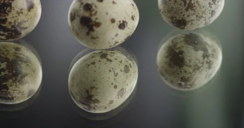 Three quail egg spinning on a mirror surface Stock Footage 198561018