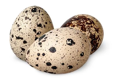 Three quail eggs beside Stock Photos