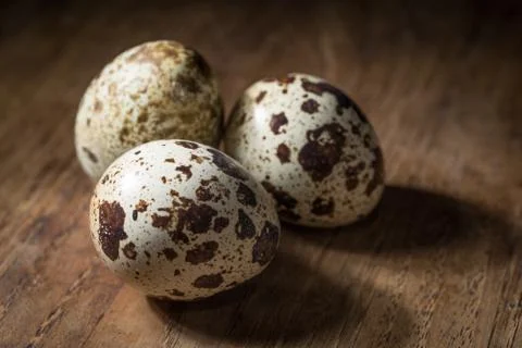 Three quail eggs isolated on dark wood table Stock Photos