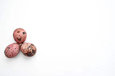 Three quail eggs in the left corner of a white background Stock Photos