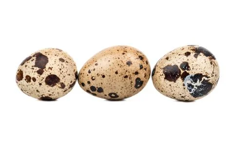 Three quail eggs Stock Photos