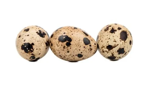 Three quail eggs Stock Photos