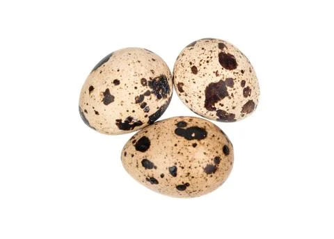 Three quail eggs Stock Photos