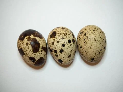 Three quail eggs on a white background Stock Photos
