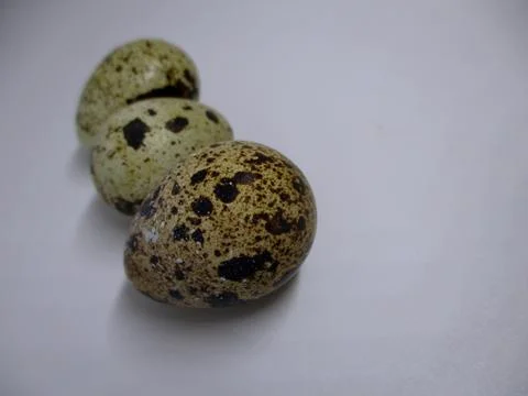 Three quail eggs on a white background 写真素材