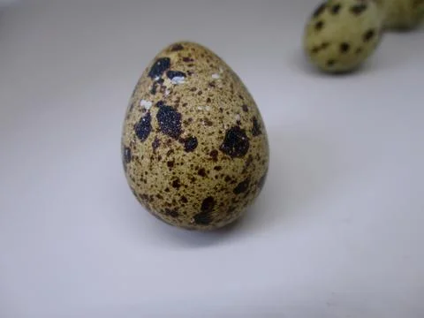 Three quail eggs on a white background 写真素材