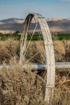 Three Quarter View of Single Irrigation Wheel Stuck In The Weeds Fotos de archivo