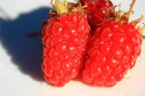 Three raspberries on white background Stock Photos