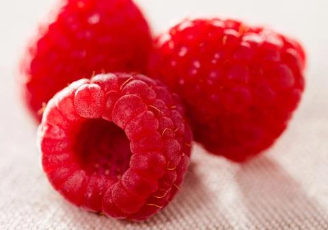 Three raspberry berries on white background Stock Photos