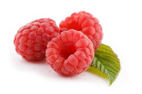 Three raspberry Stock Photos