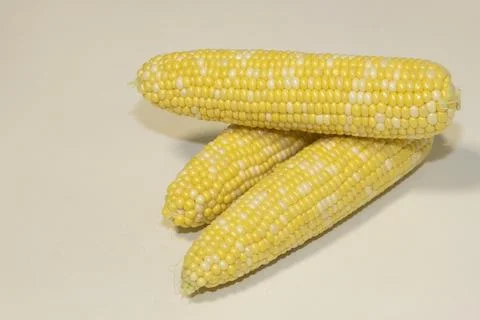 Three raw cobs of sweet corn against background. Tasty sweet corn on cobs Stock Photos