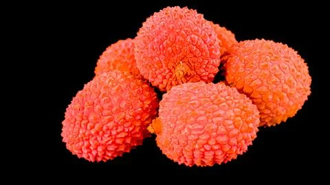 Three Raw Litchi. Red Litchi isolated on black background Stock Photos