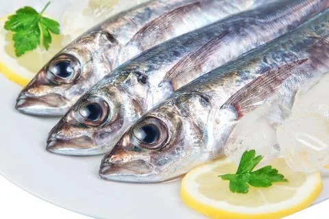 Three raw mackerel in the macro. Stock Photos