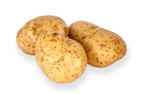 Three raw potato on a white background 库存照片