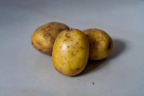 Three Raw Potatoes on Gray Background Stock Photos