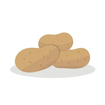 Three raw potatoes isolated on white background Stock Illustration