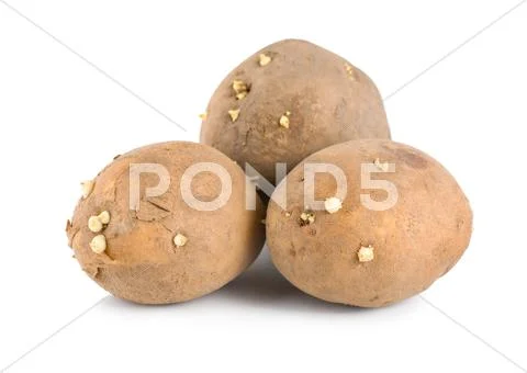 Three raw potatoes Stock Photos