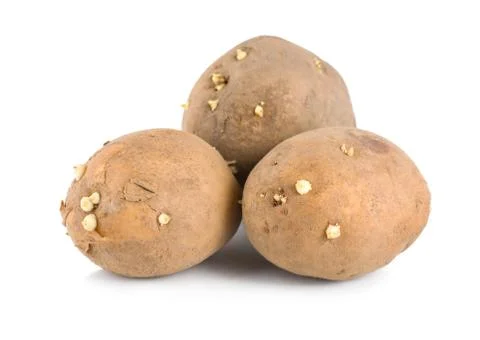 Three raw potatoes Stock Photos