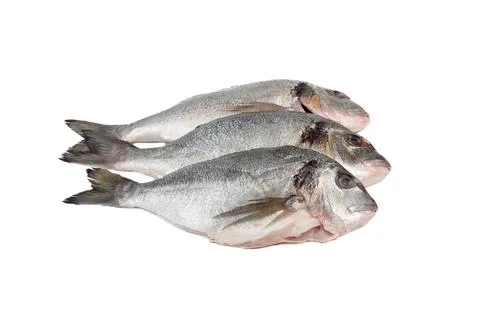 Three raw scrubbed fish ready to cook on white background. Stock Photos