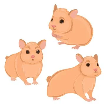 Three realistic hamsters on a white background - Vector Stock Illustration