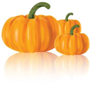 Three realistic pumpkins Stock Illustration