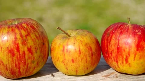 Three red apples Stock Footage 41921312