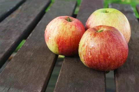 Three red apples Stock Photos