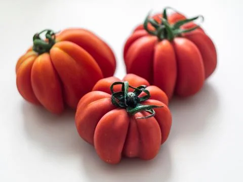 Three red beefsteak tomatoes. Stock Photos