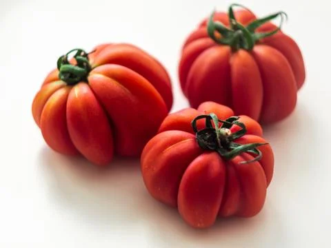 Three red beefsteak tomatoes. Stock Photos