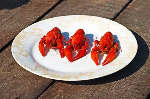 Three red boiled  crawfish. Stock Photos
