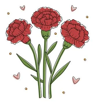 Three red carnations with black contour Stock Illustration