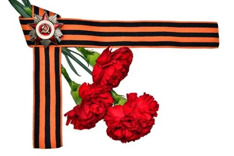 Three red carnations wrapped in a ribbon of Saint George under the Order of t Foto stock