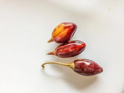 Three red cascabel chiles Stock Photos