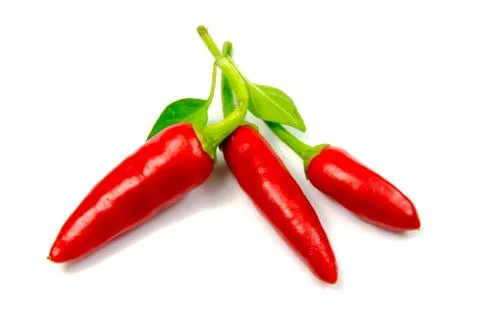 Three red chillis Stock-Fotos
